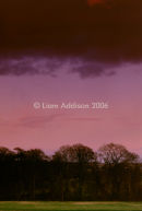 Late afternoon snow squalls, Co.Meath